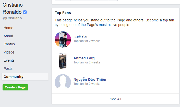 What does top fan mean on facebook